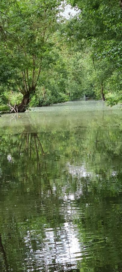 L'Enclos Bleu, Gite - Marais Poitevin Avec Piscine Chauffee Chaille-Les-Marais Eksteriør bilde